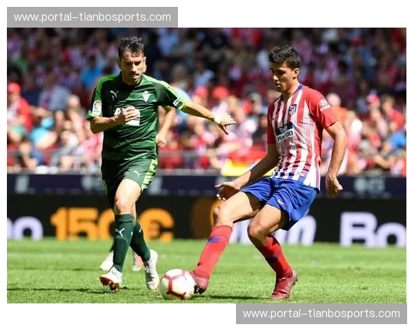 狼魂不灭，白玫瑰绽放：一场恩怨情仇的伊蒂哈德德比前瞻